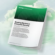 Executive guide