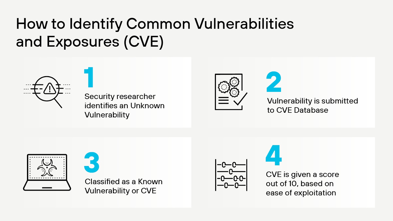 Processo de identificação de CVE