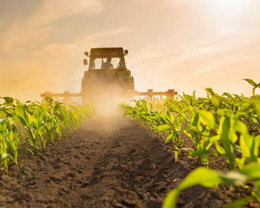 Foto da Agricultural Business